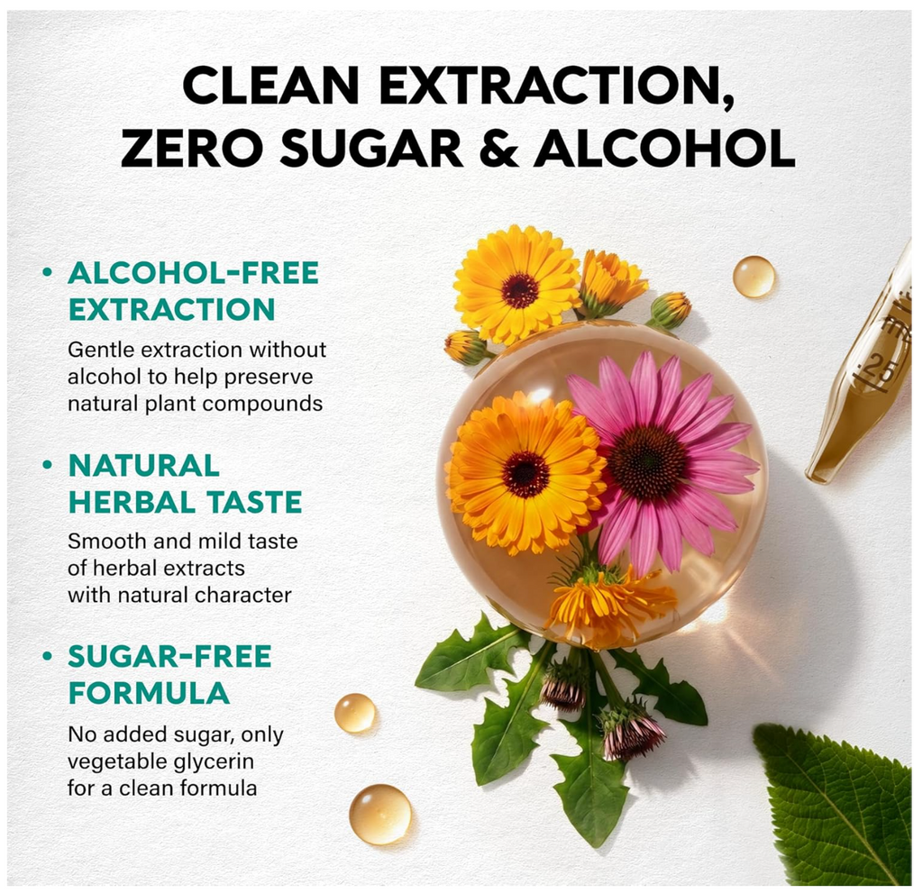 Elevon Organic Lymphatic Support Drops — 8-in-1 Herbal Blend | Echinacea, Dandelion Root & Burdock | Alcohol-Free & Sugar-Free Liquid Extract | Vegan, Non-GMO | 2 FL OZ (60 mL)